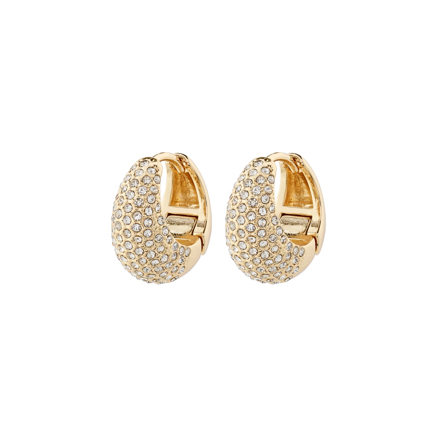 Pilgrim - Focus Earrings