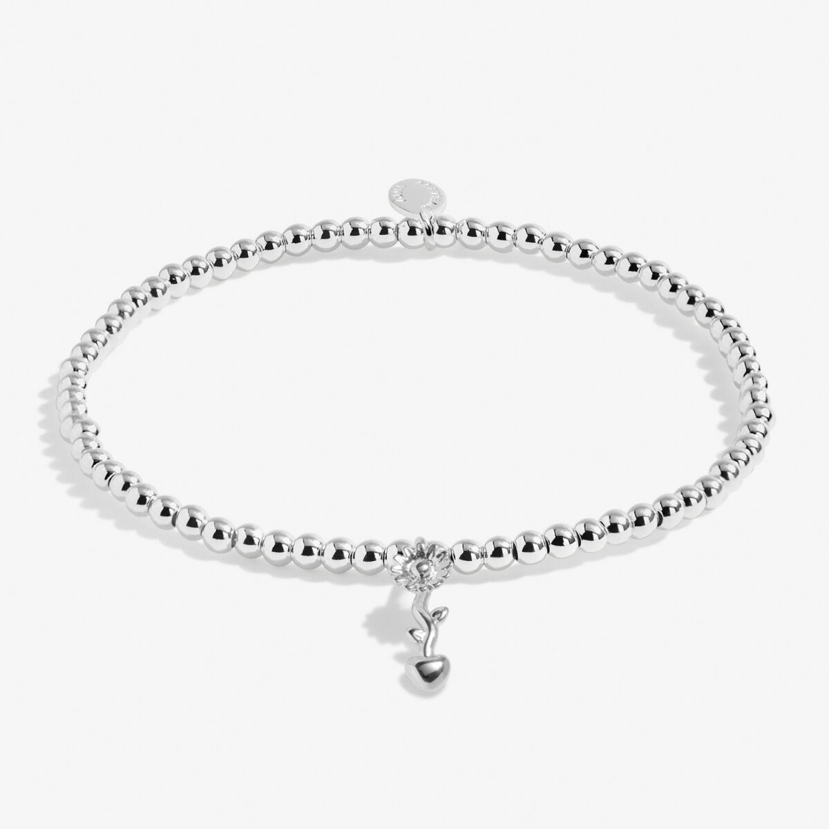 Joma Jewellery - Teacher plant seeds that grow forever