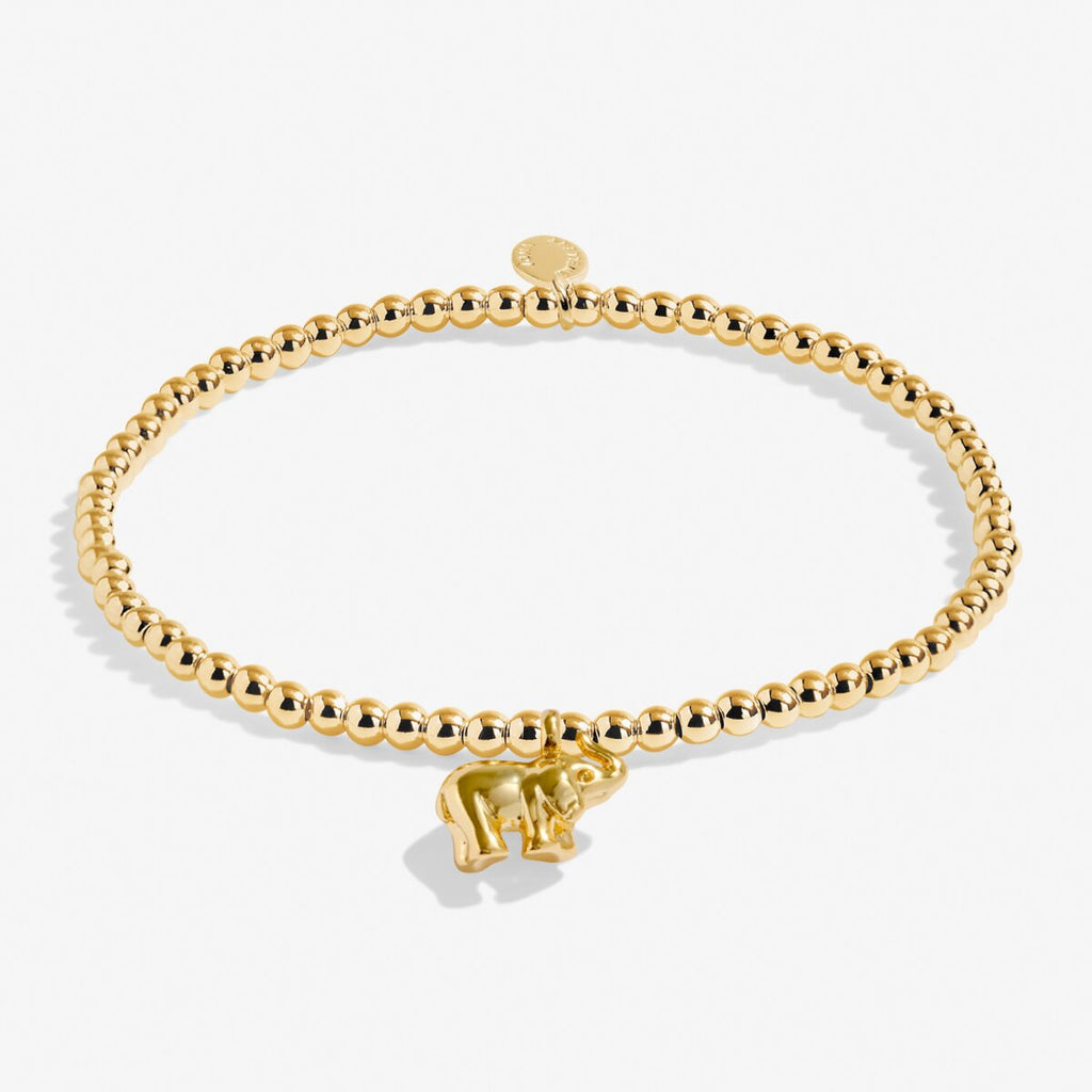 Joma Jewellery - A little Lucky Elephant