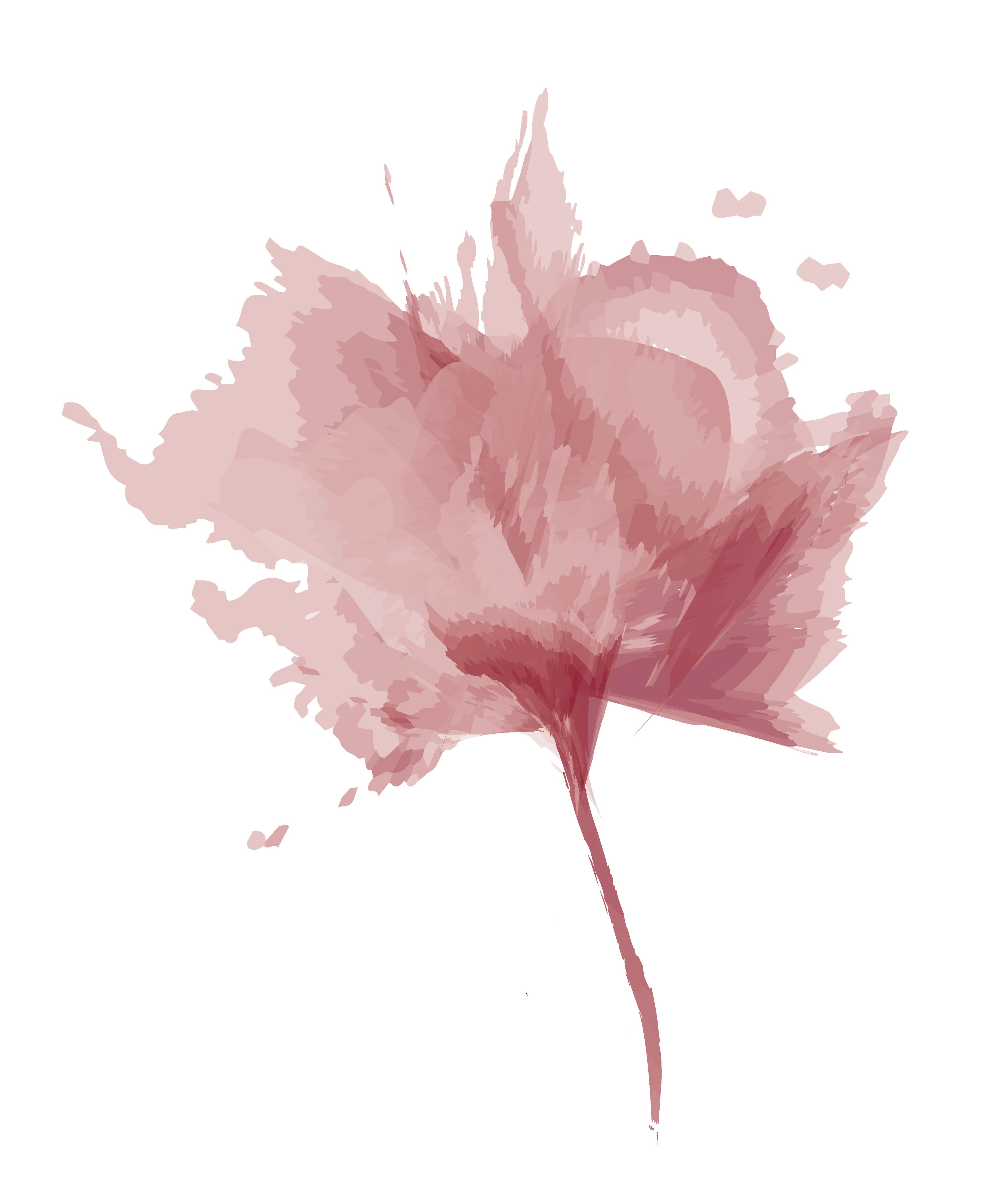 Fransa - Francesca Tee 1