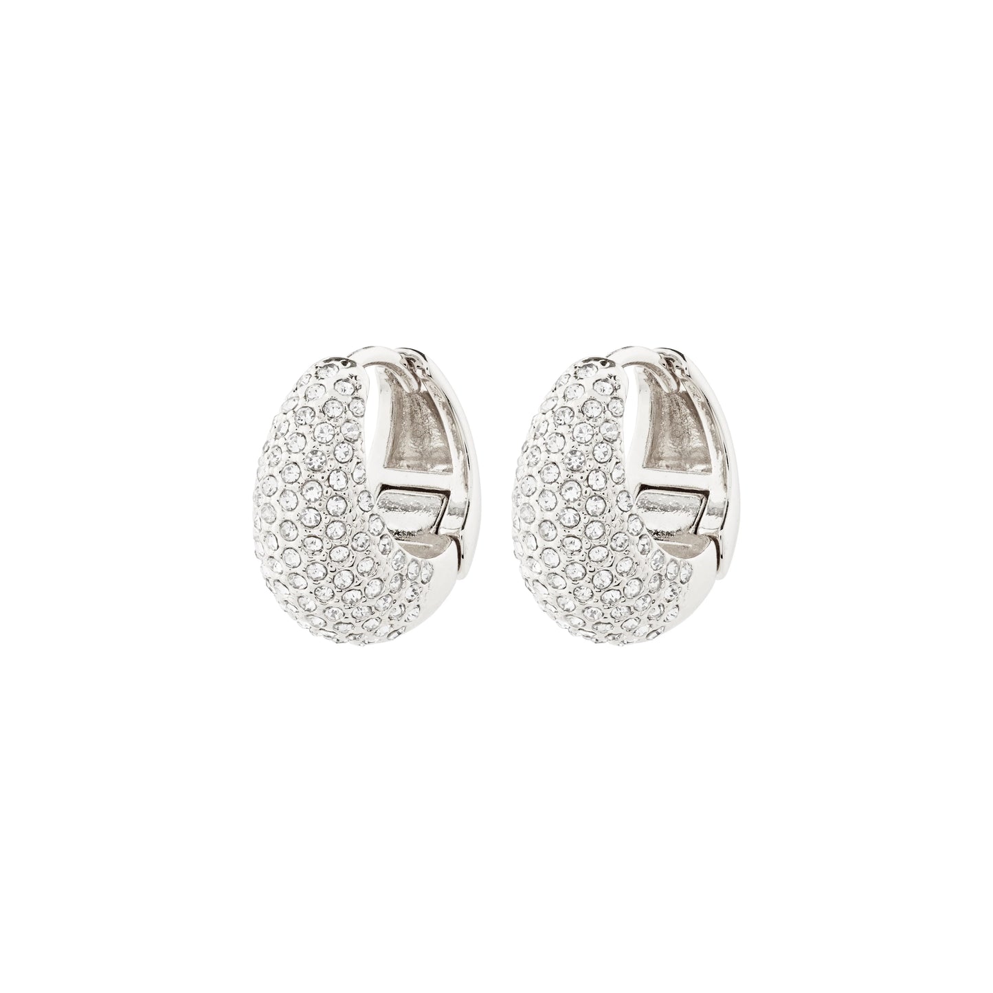 Pilgrim - Focus Earrings